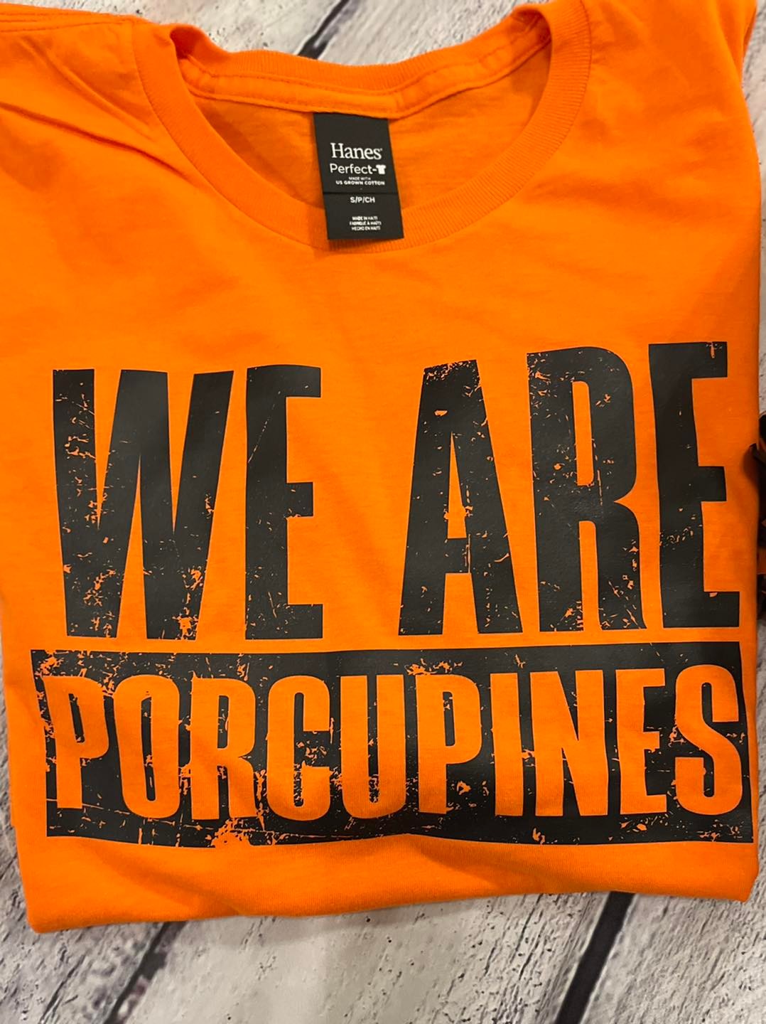 We are Porcupines